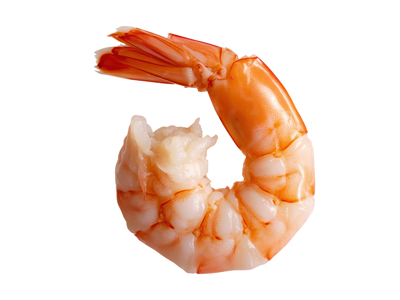 REUZE SCAMPI'S NIET GEPELD + ONTDARMD