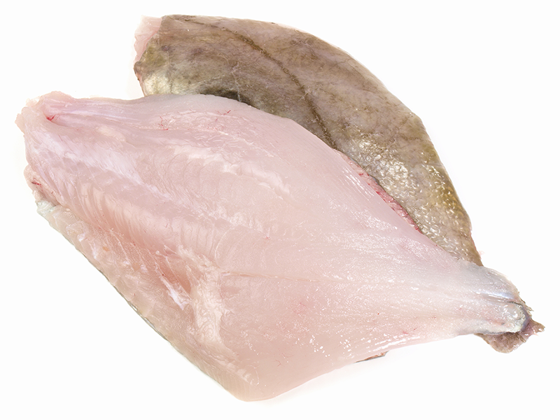 ZONNEVISFILET