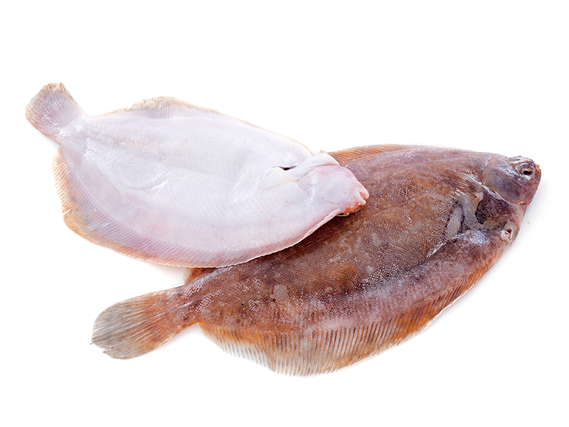 TONGSCHAR GEHEEL (= PANKLAAR)