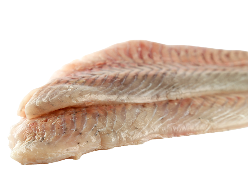 KOOLVISFILET ONTGRAAT