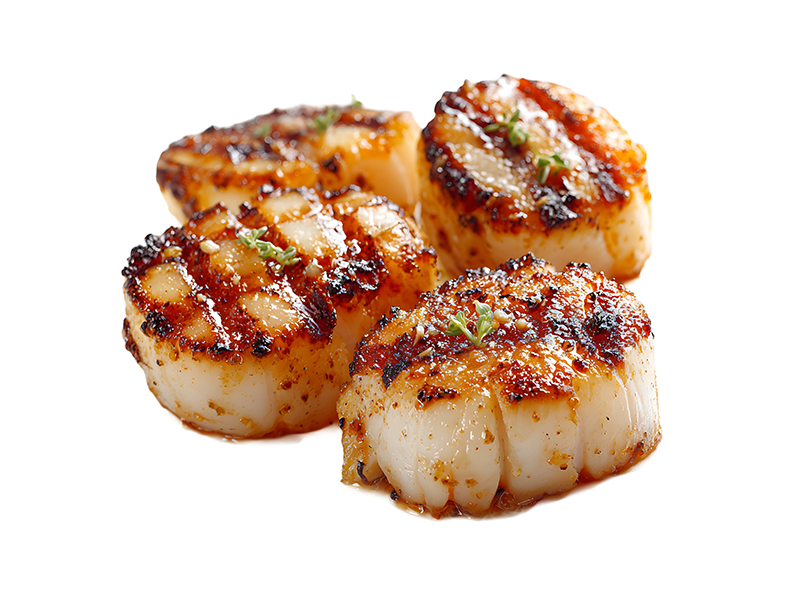 COQUILLES