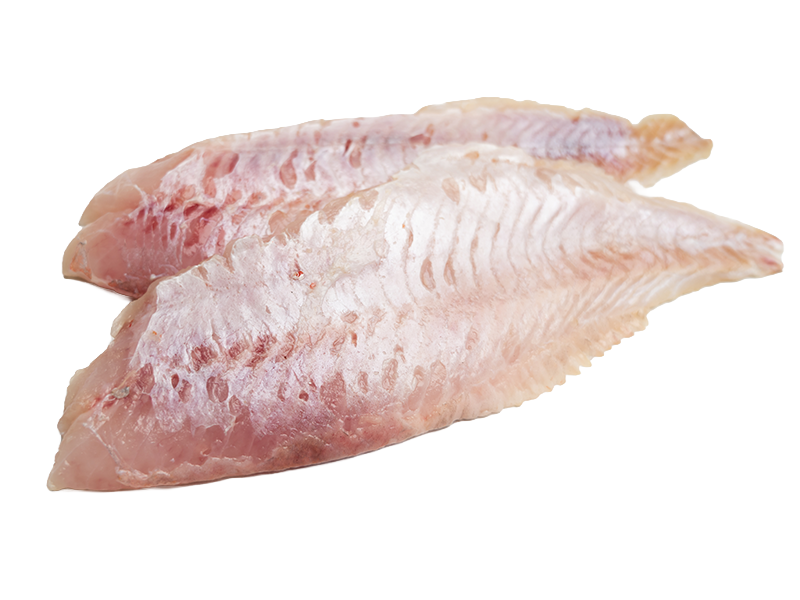 ROODBAARSFILET - DORADE
